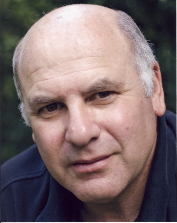 actor David Wohl large photo