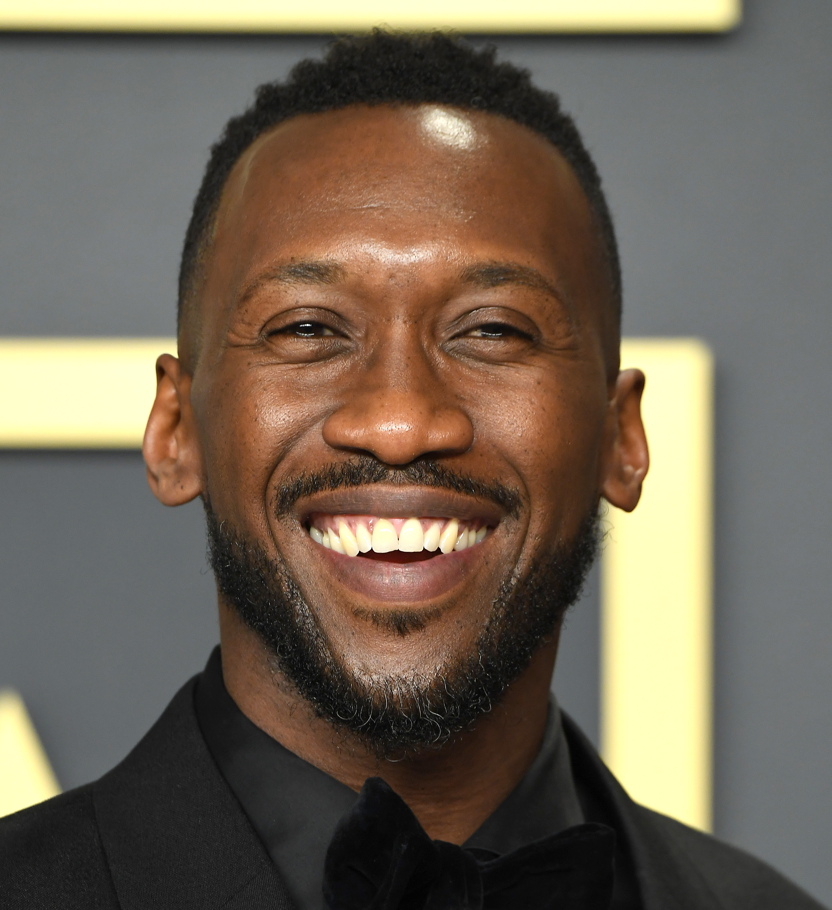 actor Mahershala Ali large photo