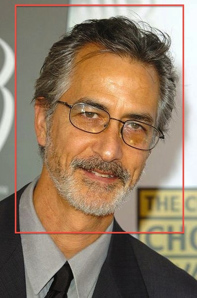 actor David Strathairn large photo