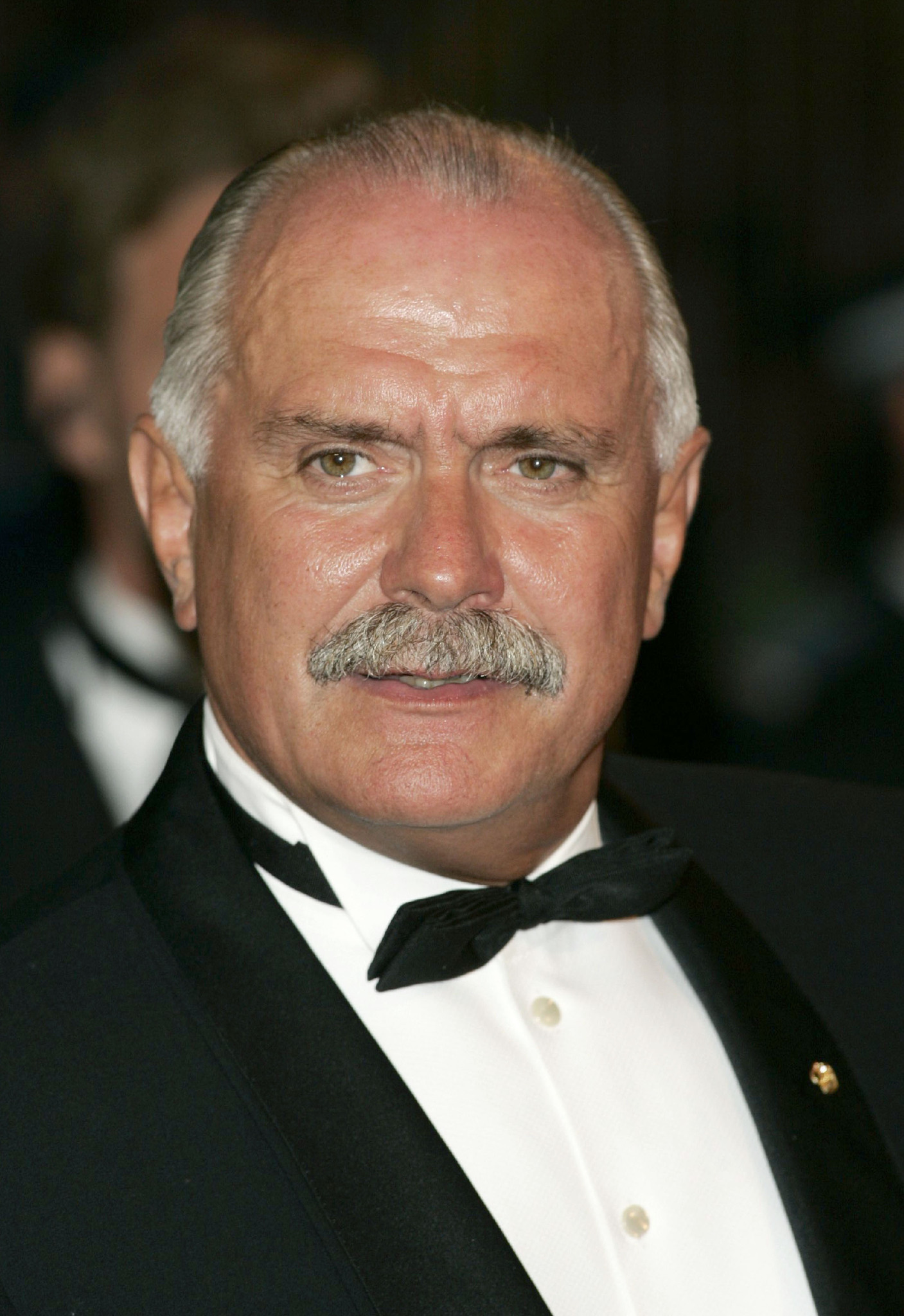 actor Nikita Mikhalkov large photo
