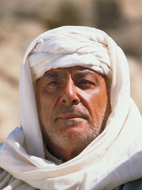 actor Richard Romanus large photo