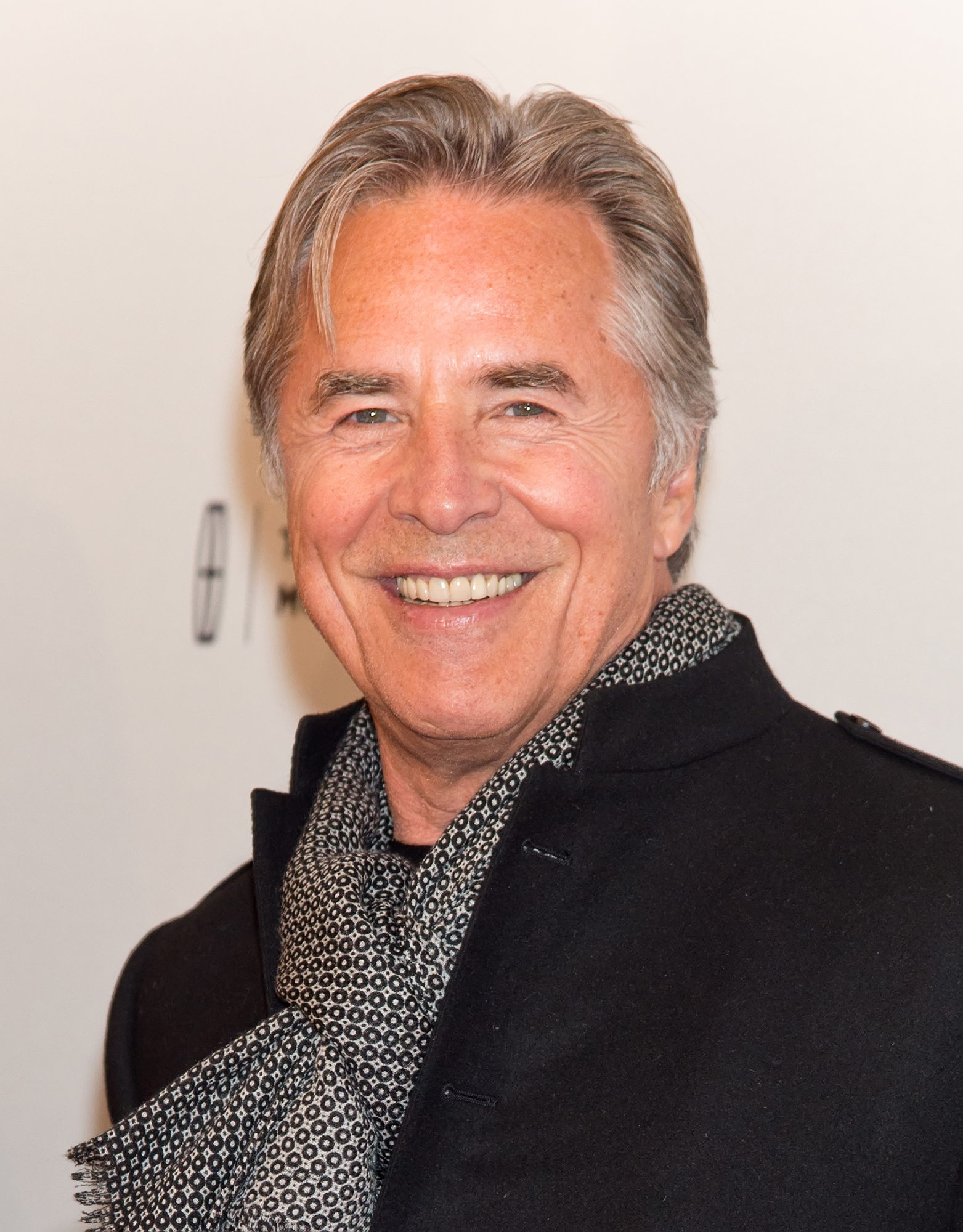 actor Don Johnson large photo