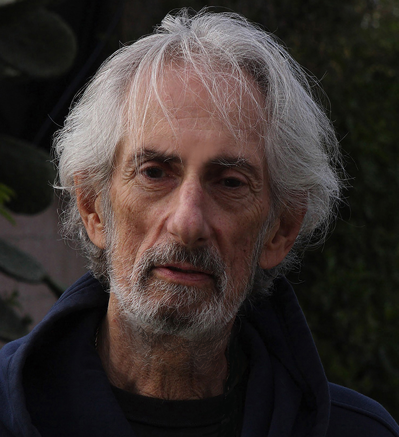 actor Larry Hankin large photo
