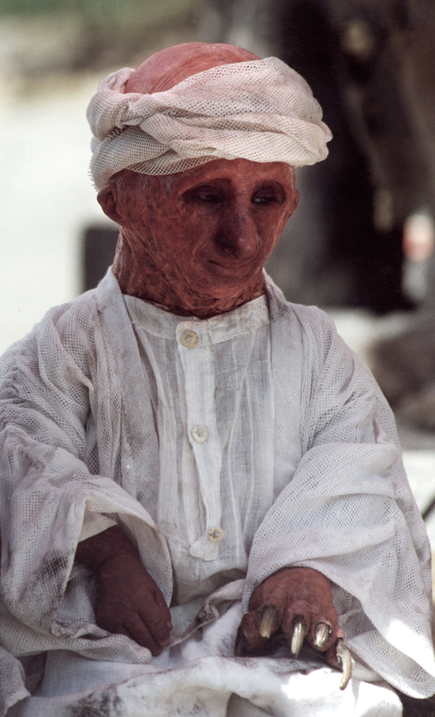 actor Nelson de la Rosa large photo