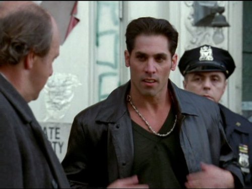 actor Michael Cavalieri large photo