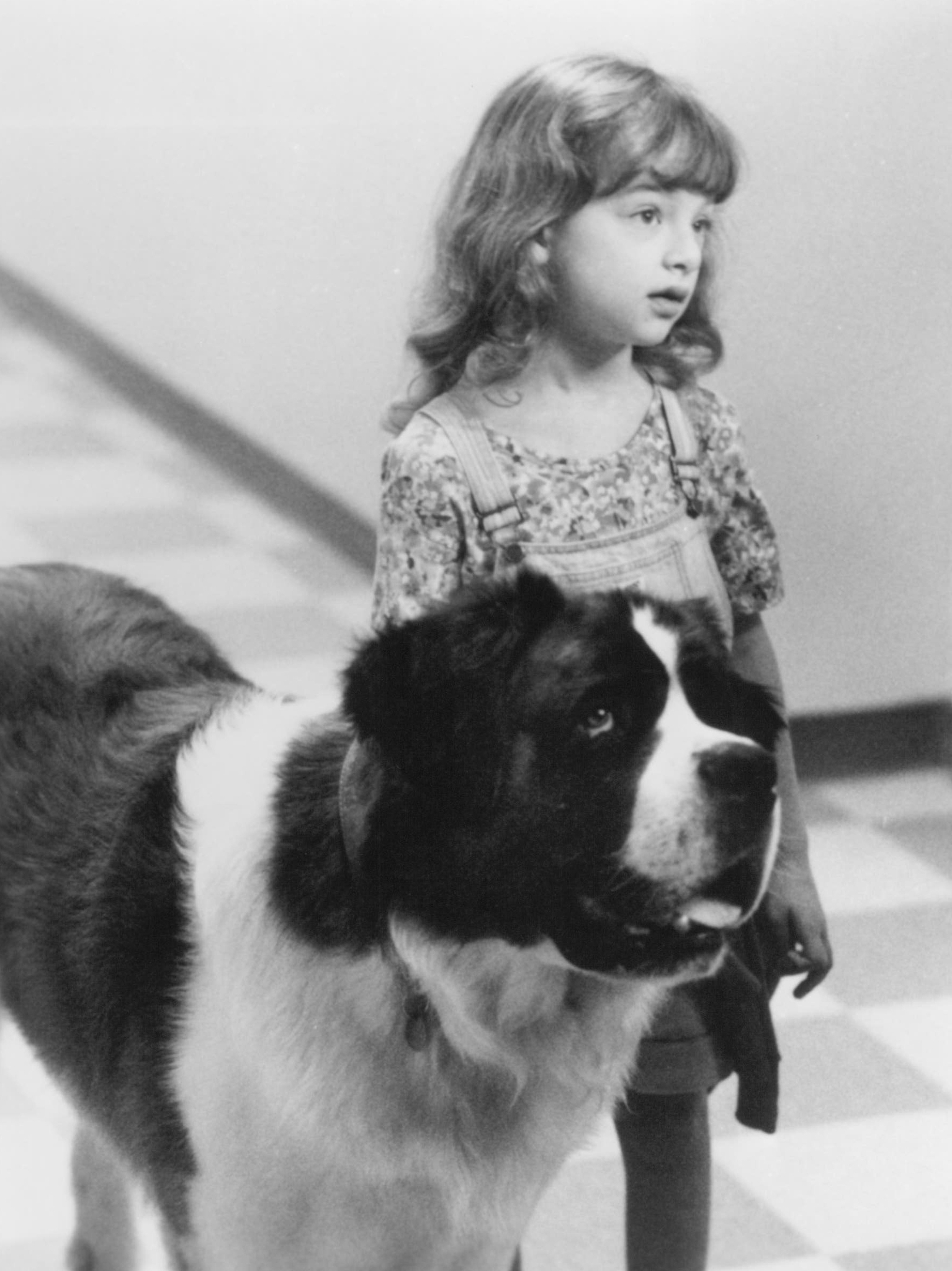 actor Sarah Rose Karr large photo