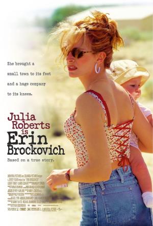 Erin Brockovich [Hindi]