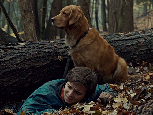 actor Dylan Authors large photo