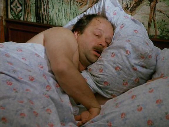 actor Vladimir Ilin large photo