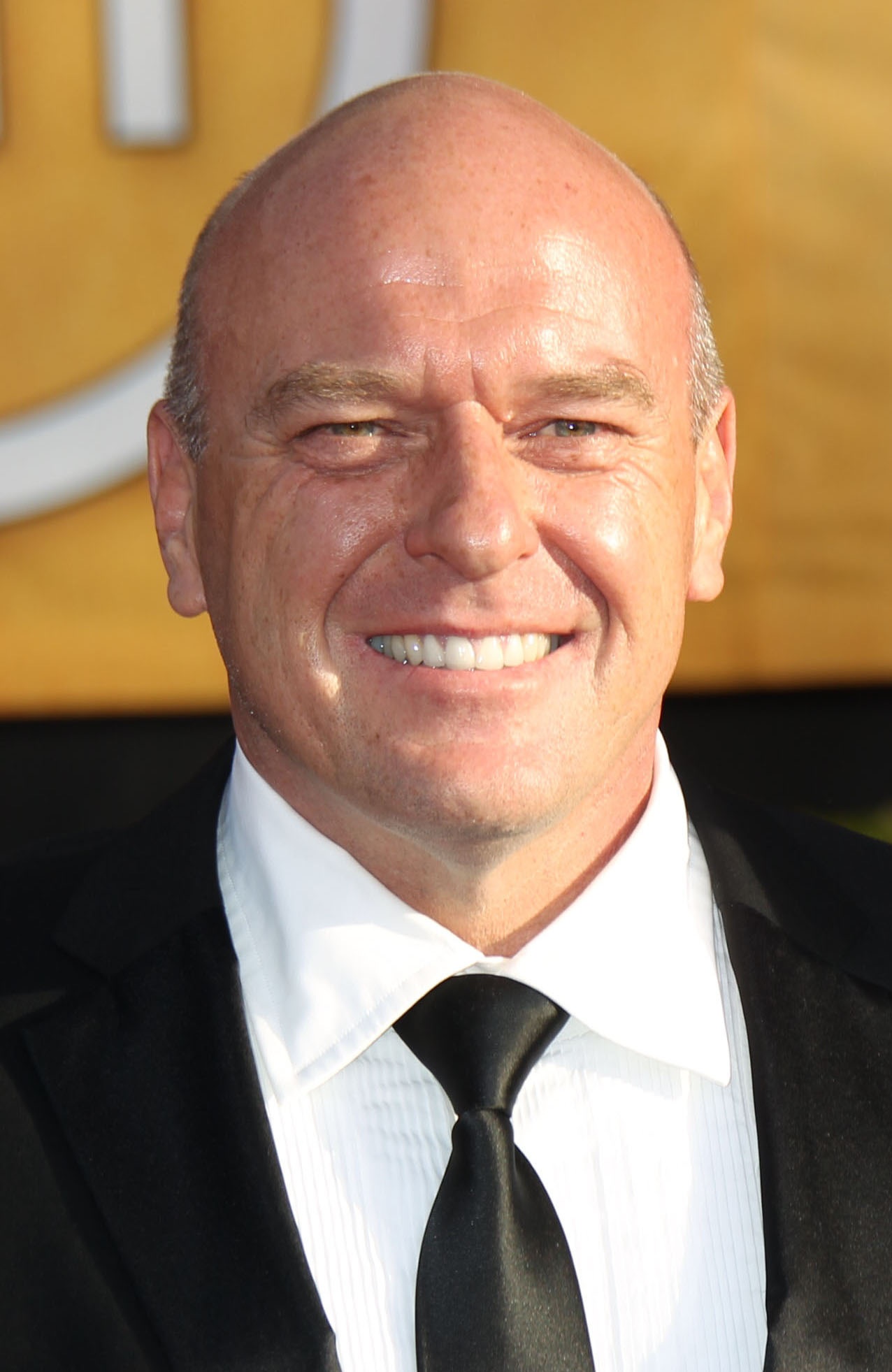 actor Dean Norris large photo