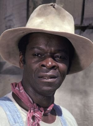 actor Brock Peters large photo