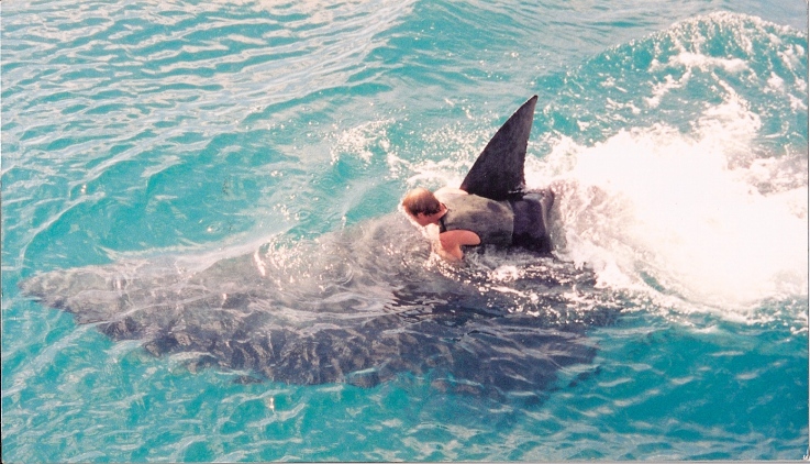 actor Matthew Taylor large photo