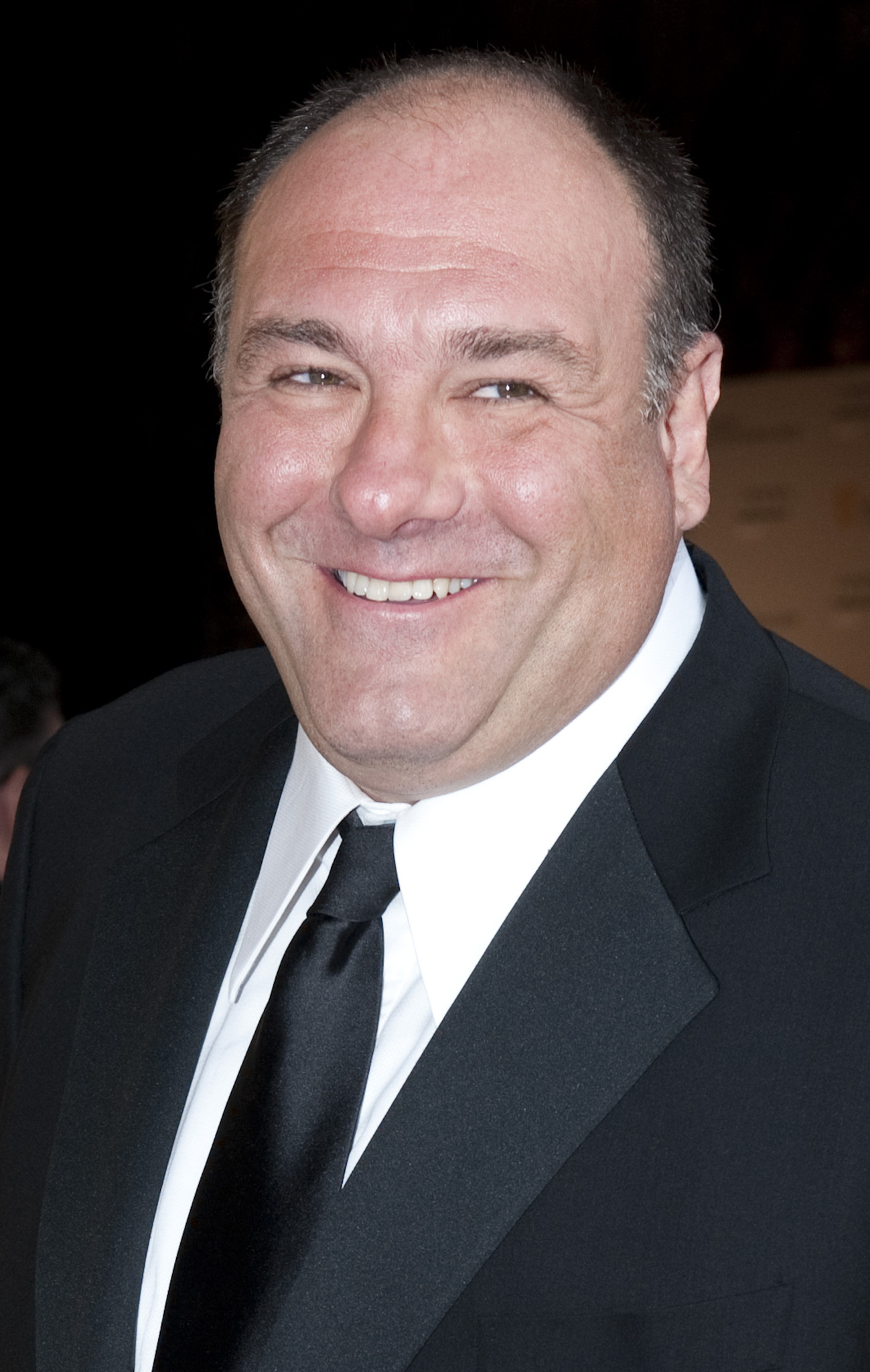 actor James Gandolfini large photo
