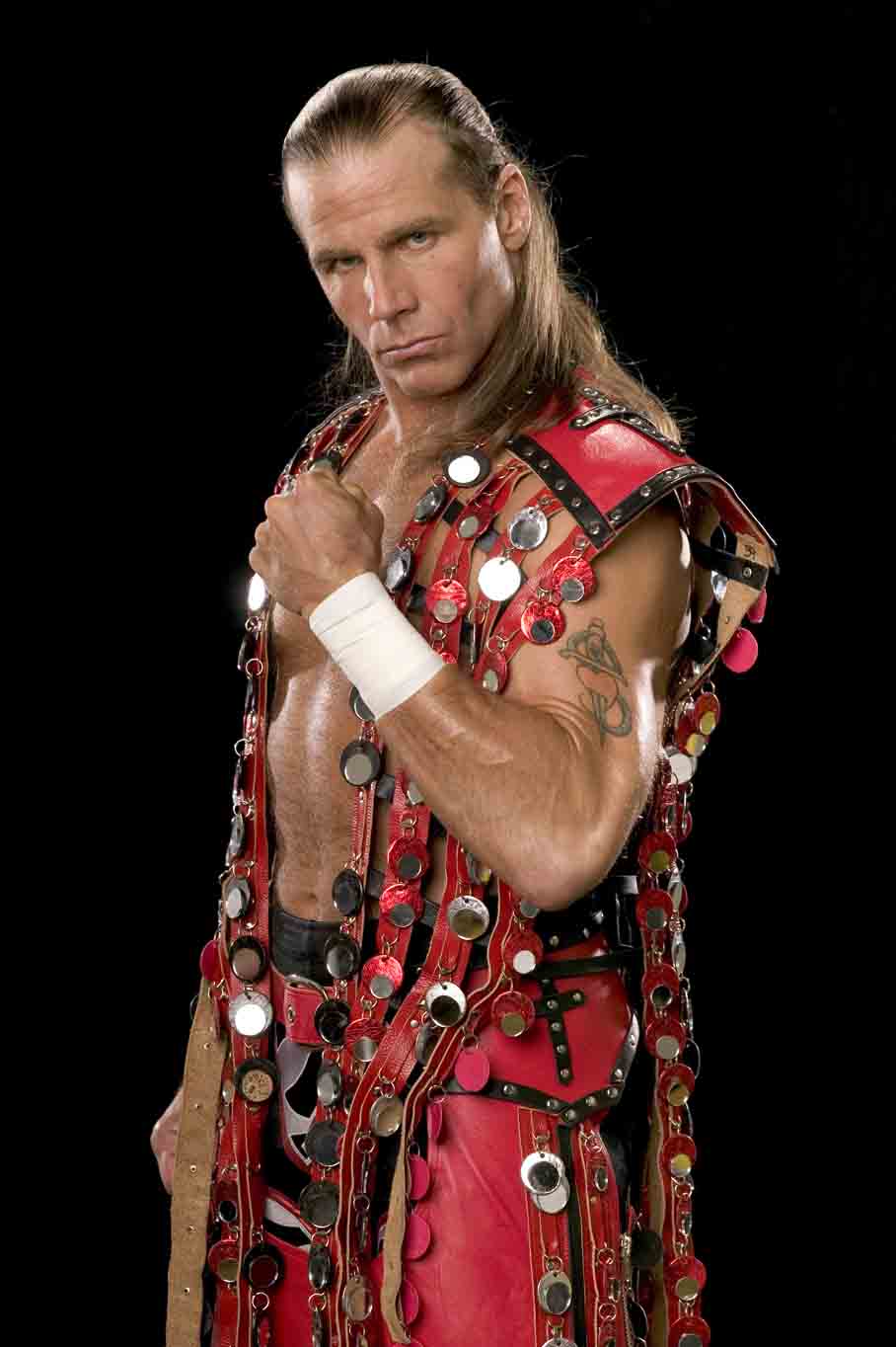 actor Shawn Michaels large photo