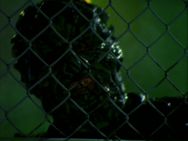 actor Jason Hopley large photo