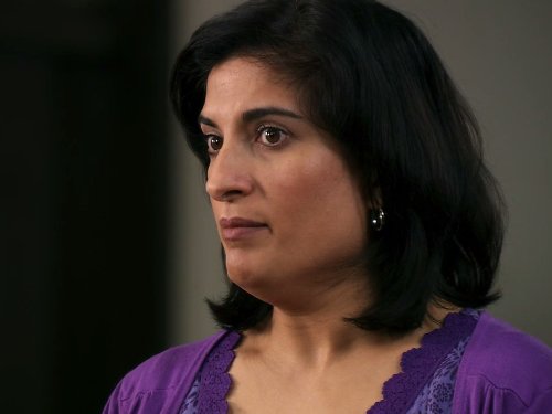 actor Mina Anwar large photo