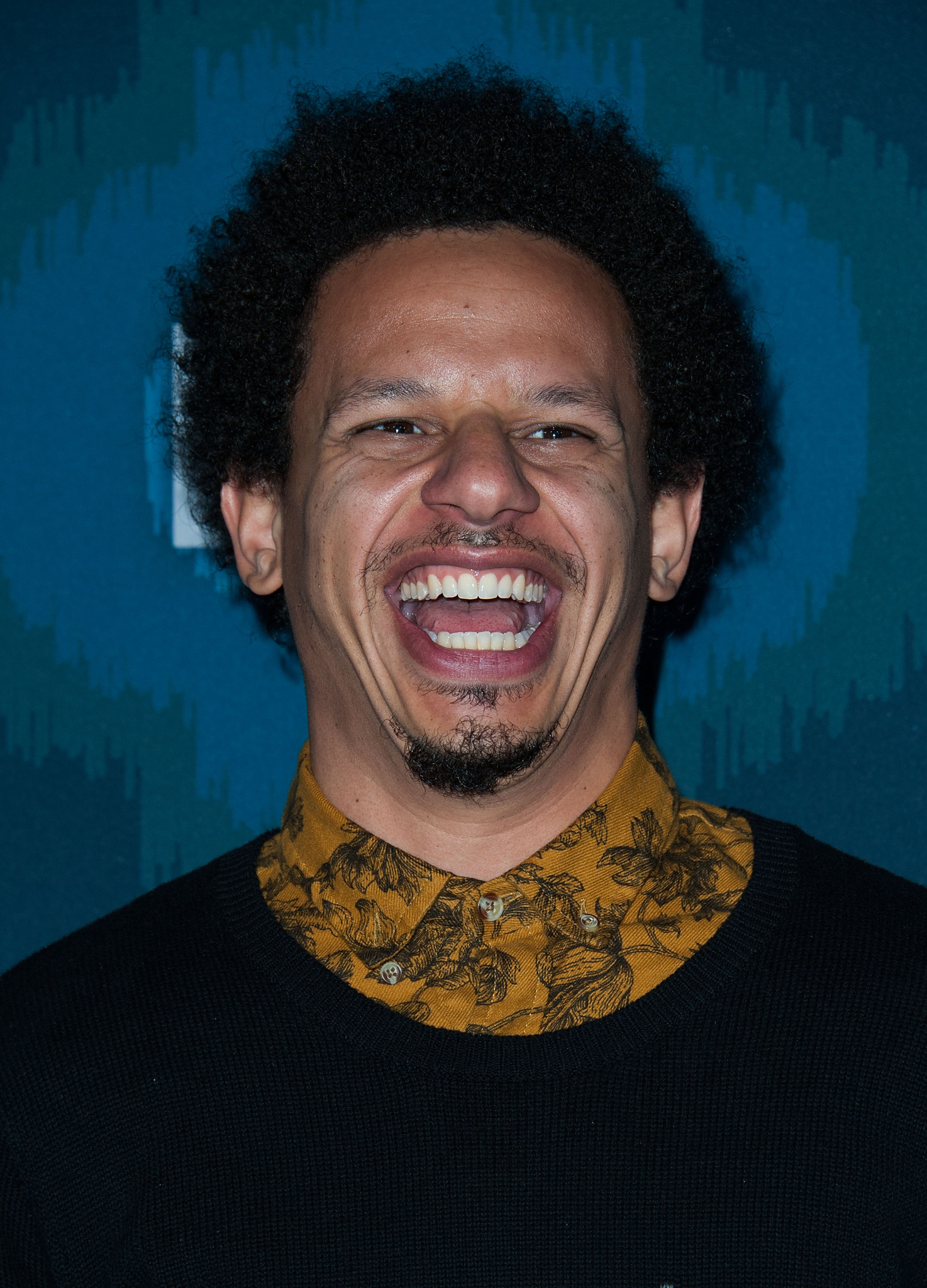actor Eric André large photo