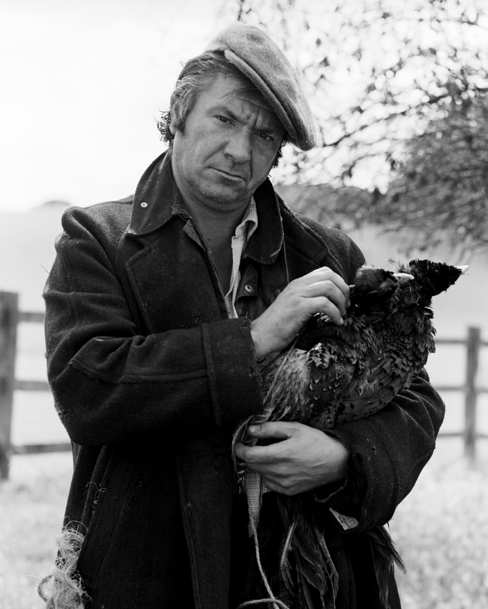 actor Michael Elphick large photo