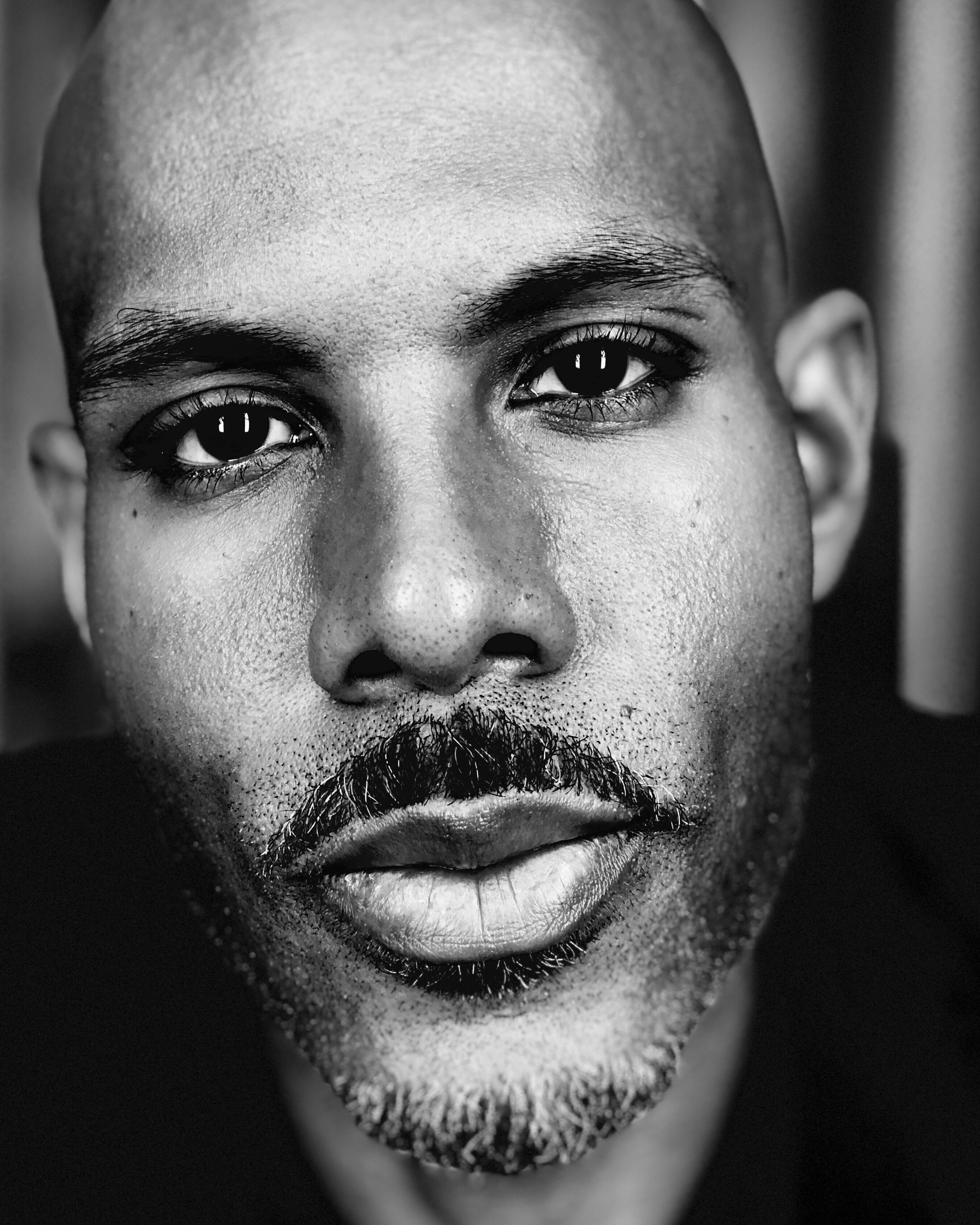 actor Todd Williams large photo actor Todd Williams large photo