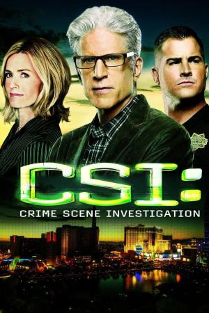 CSI: Crime Scene Investigation [Version française] S1-S10