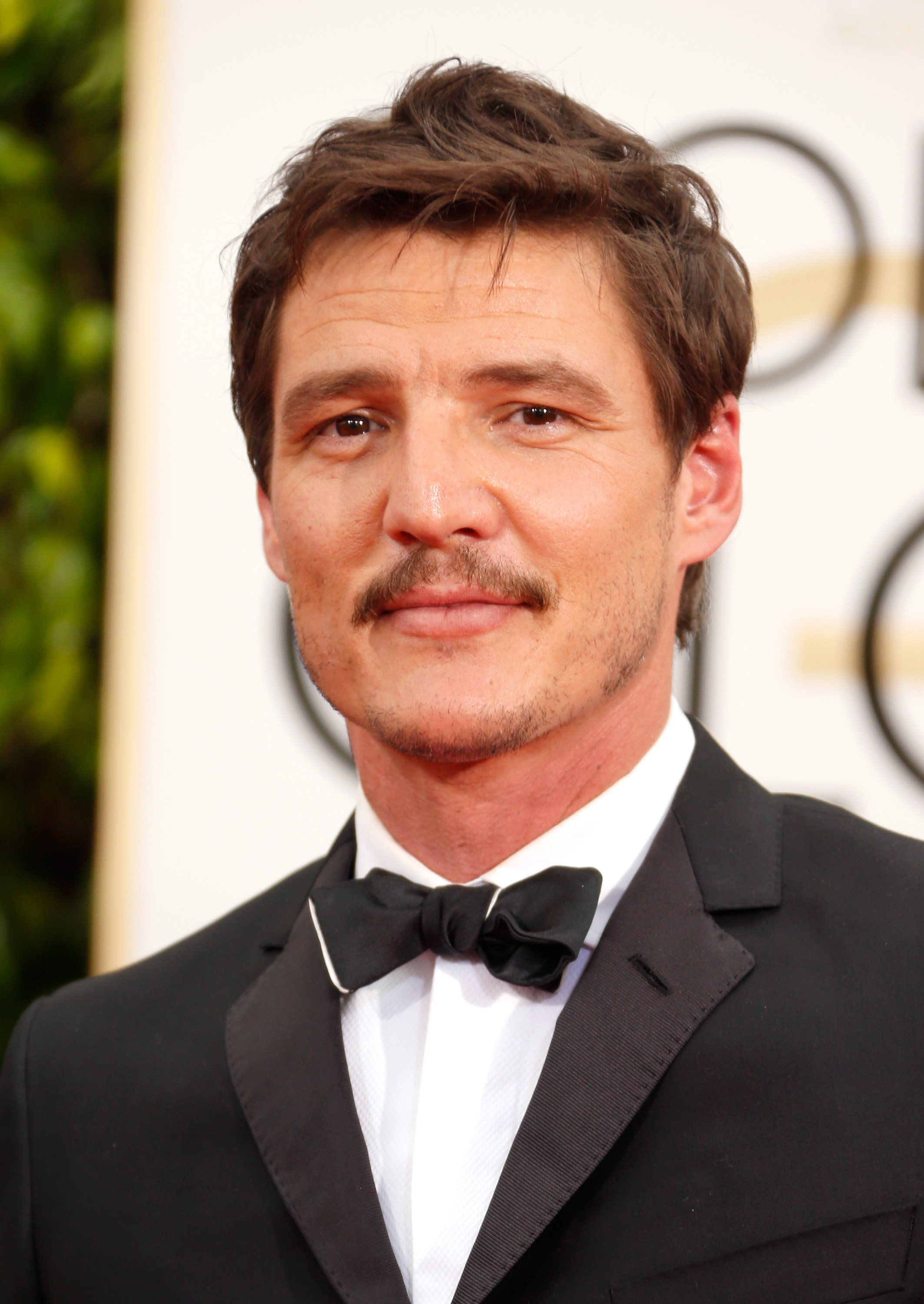 actor Pedro Pascal large photo