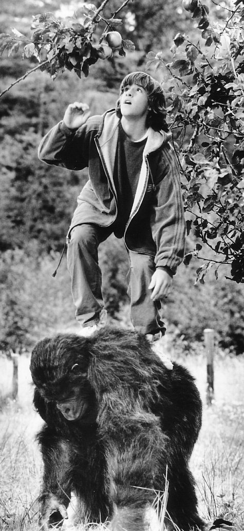 actor Wil Horneff large photo