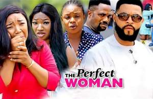 The Perfect Woman