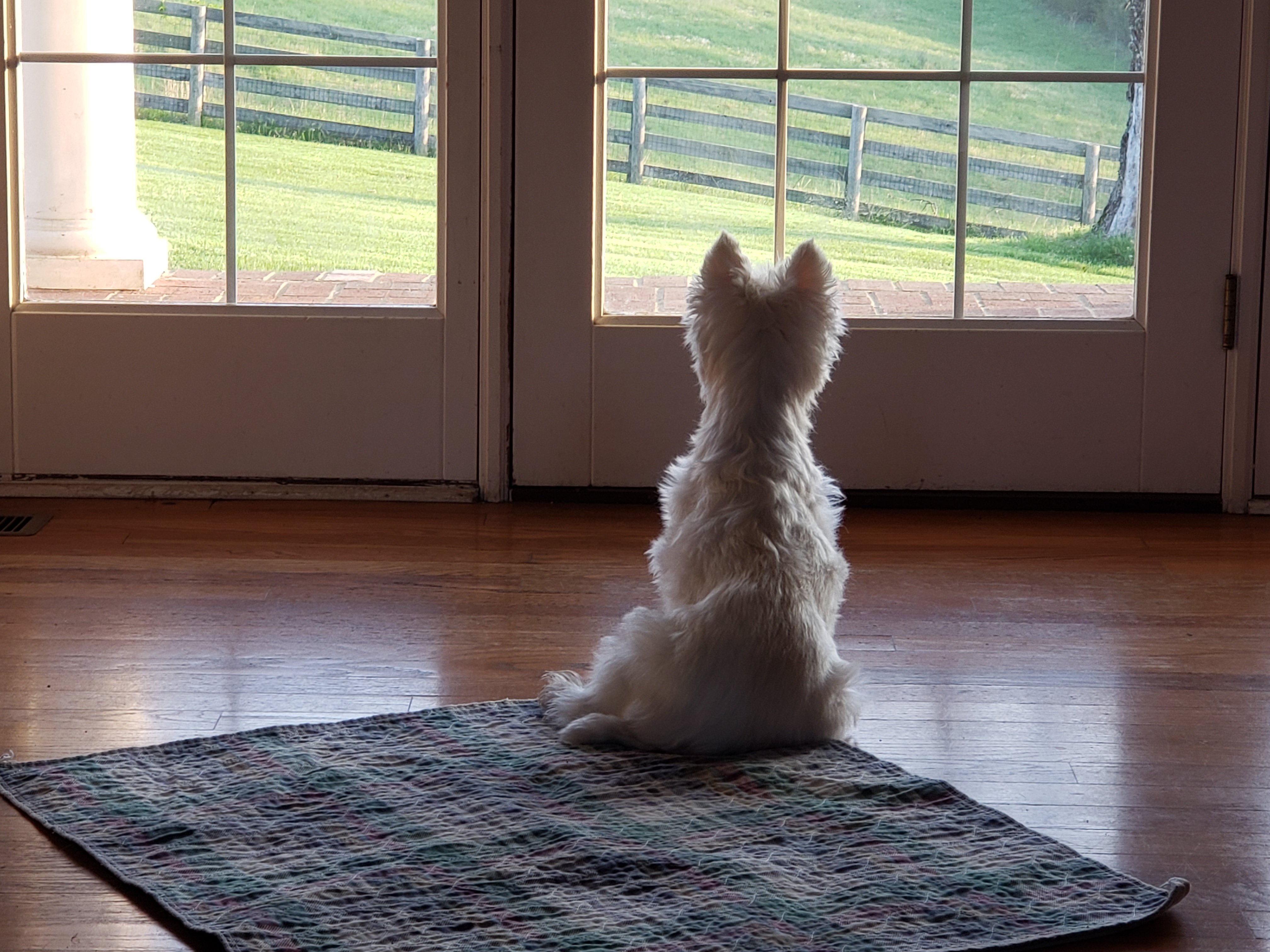 actor Bernadette Caulfield large photo