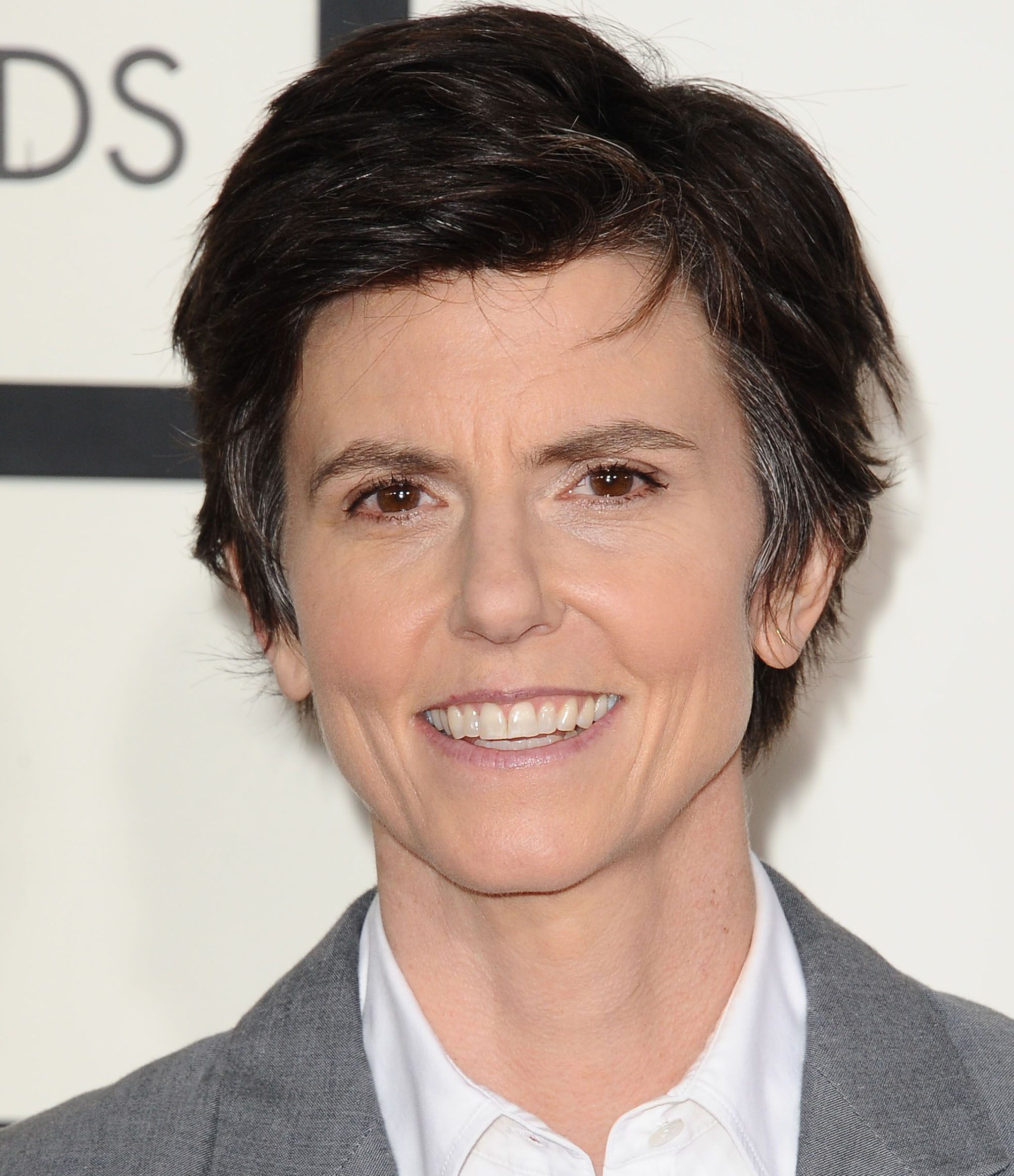 actor Tig Notaro large photo