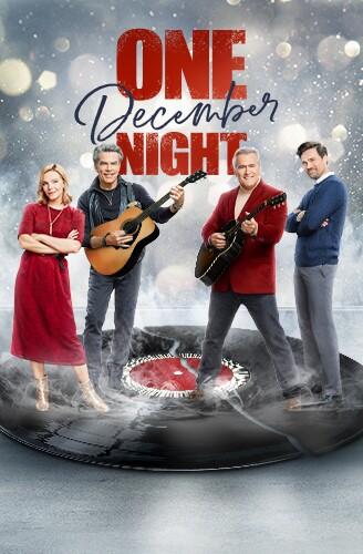 One December Night (2021) | Watch on Movi47