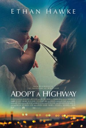 Adopt a Highway [Spanish]