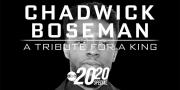 Chadwick Boseman: A Tribute for a King