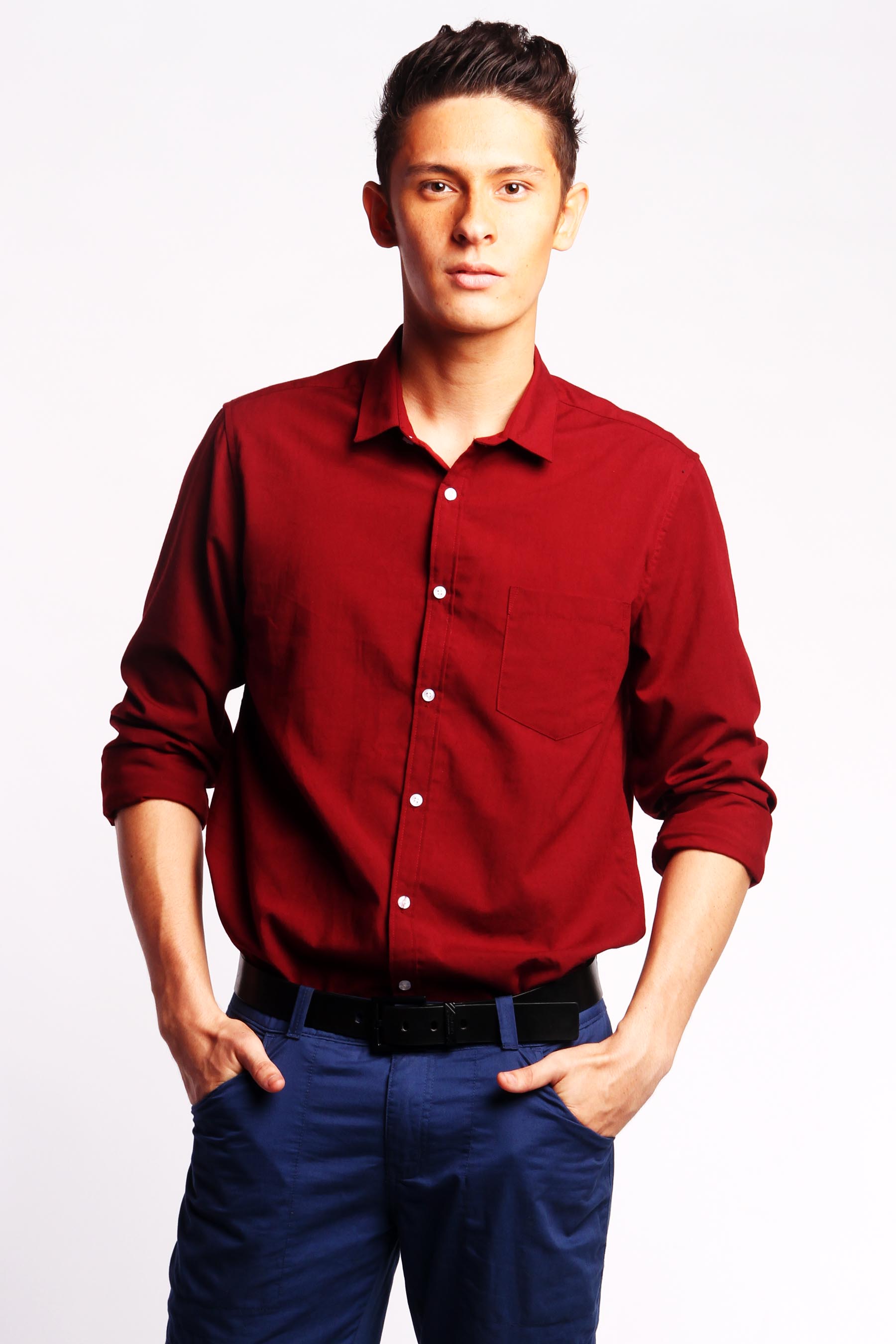 actor Brian Wilson large photo