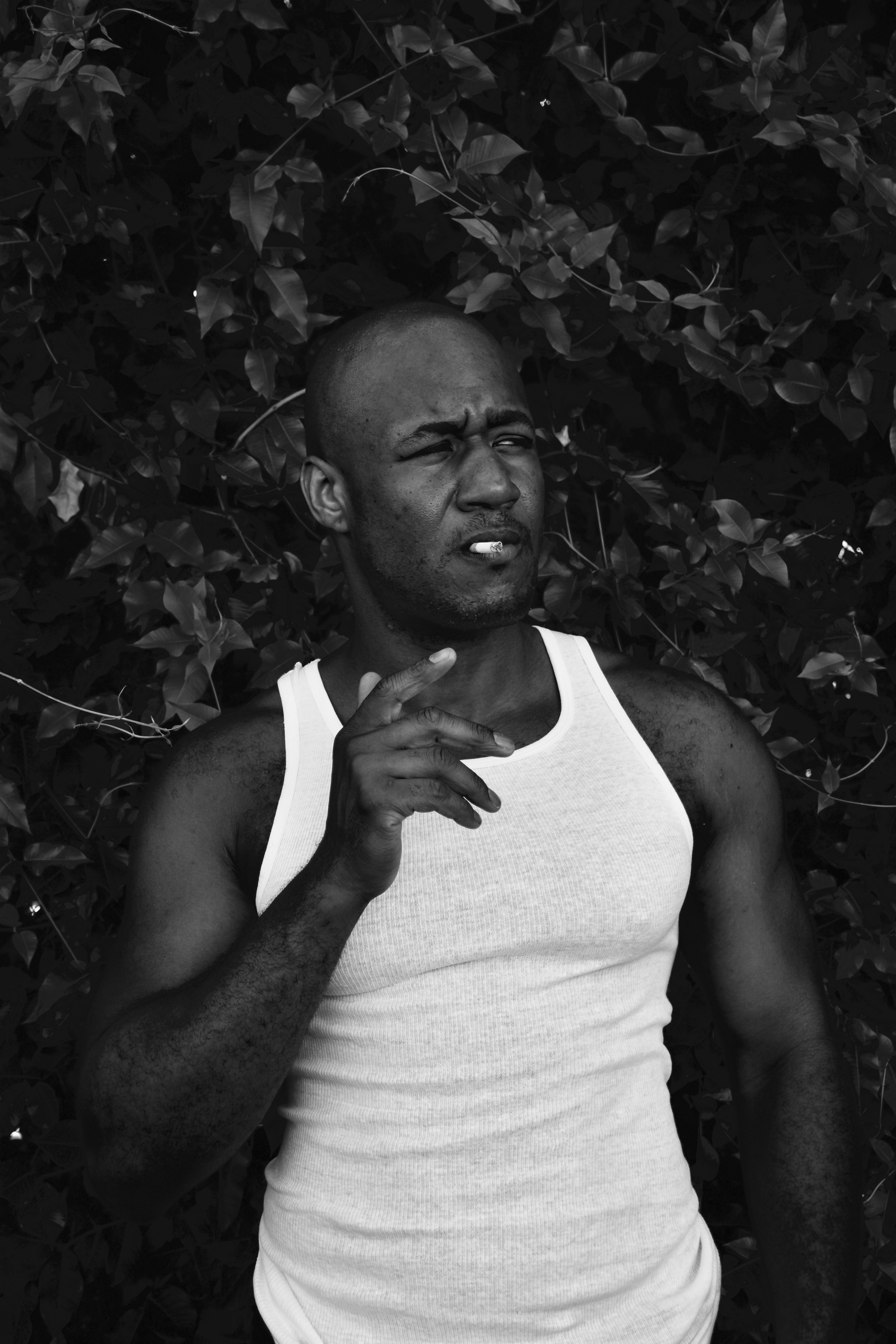 actor Wilfried Capet large photo