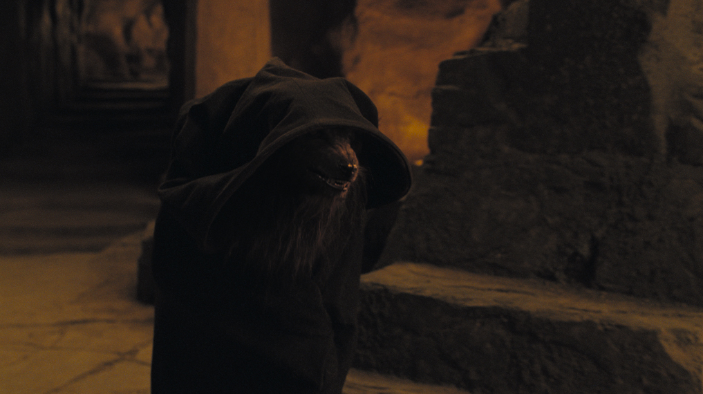 actor Tim Hands large photo