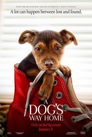 A Dog's Way Home [Hindi]