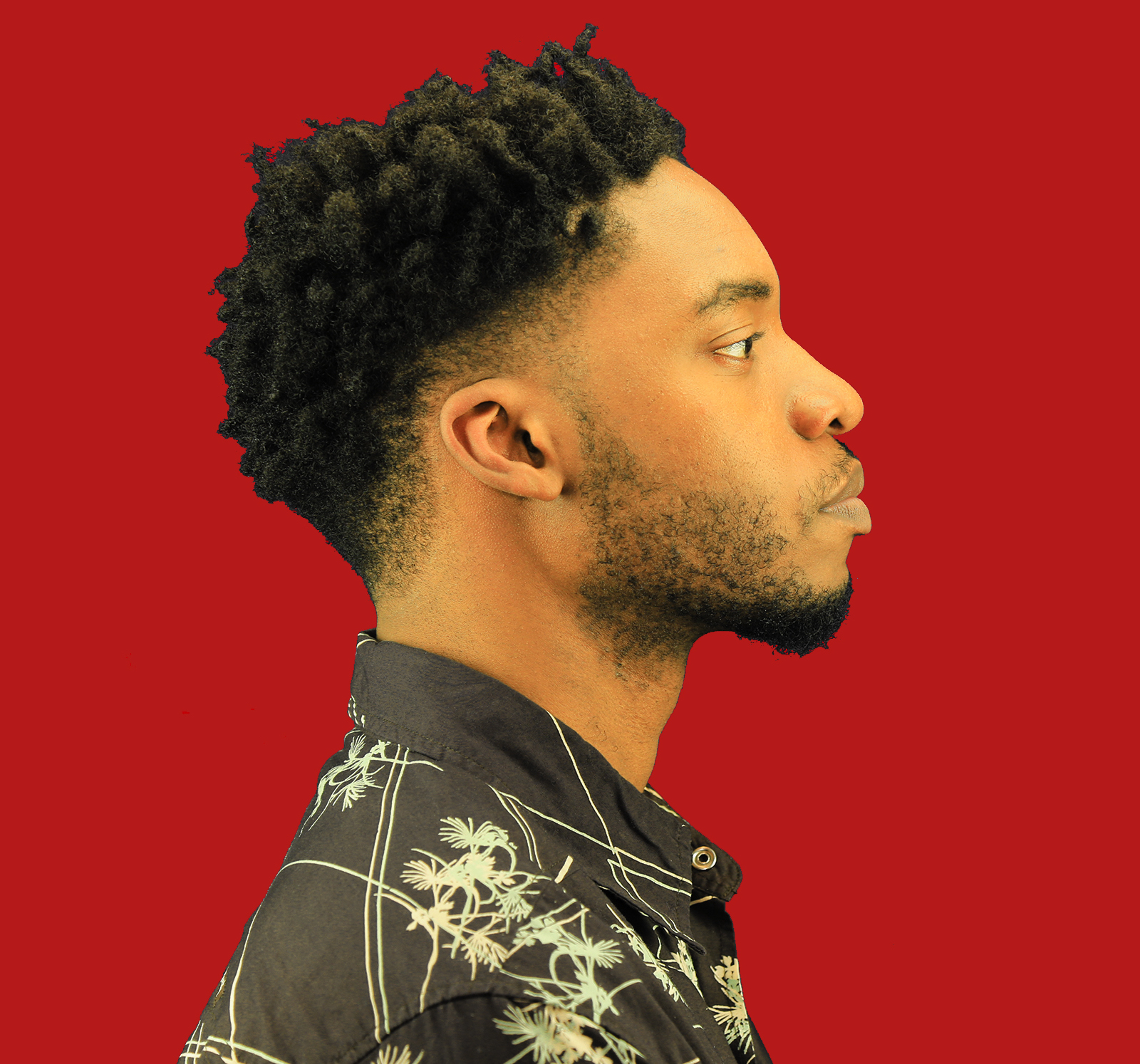 actor Frantz Louizia large photo