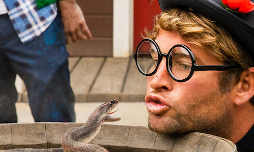 actor Sean McInerney large photo