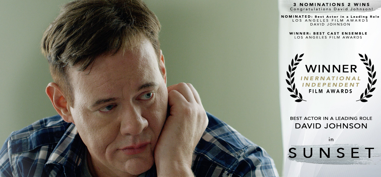 actor David Johnson large photo