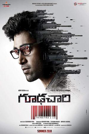 Goodachari [Hindi]