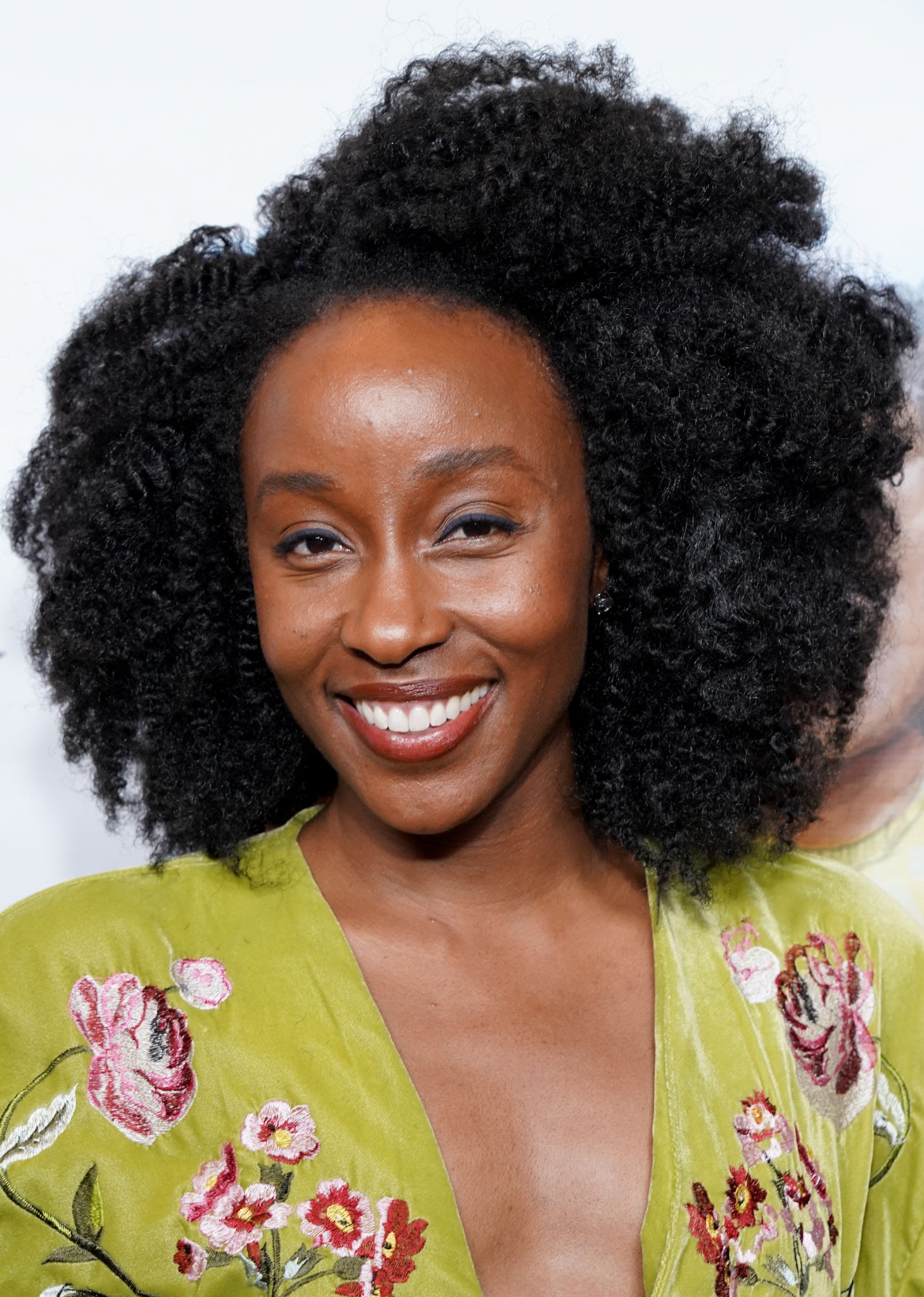 actor Briana Price large photo