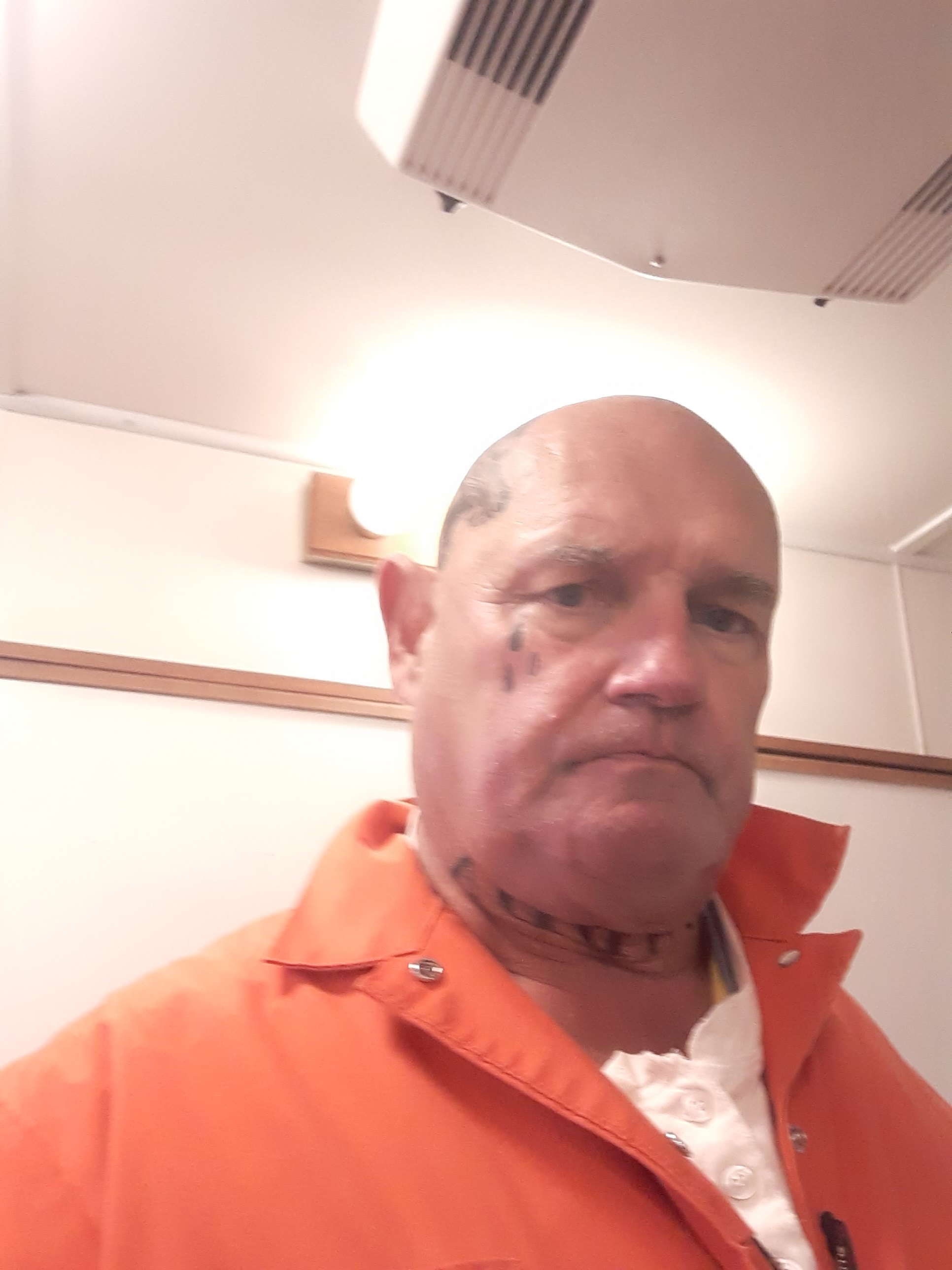 actor Pete Nelson large photo