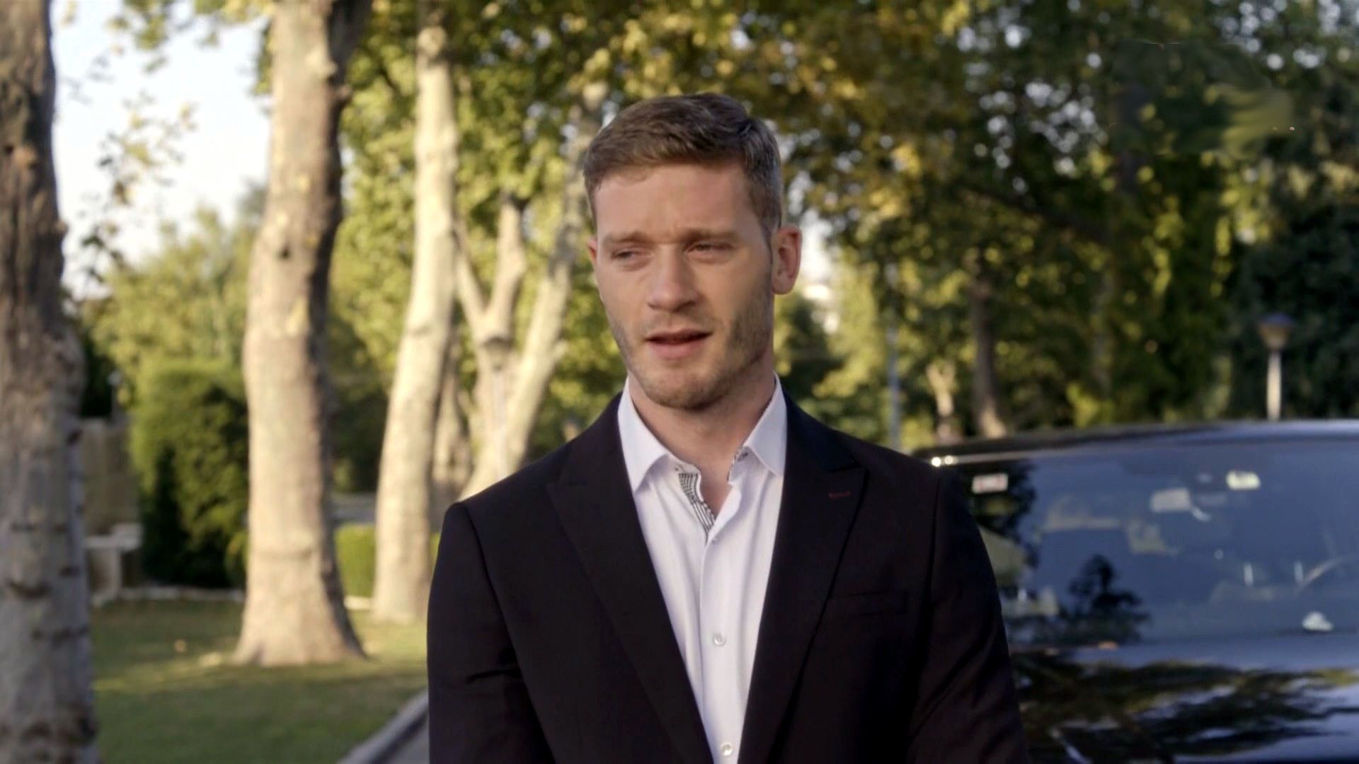 actor Aleksandar Radojicic large photo