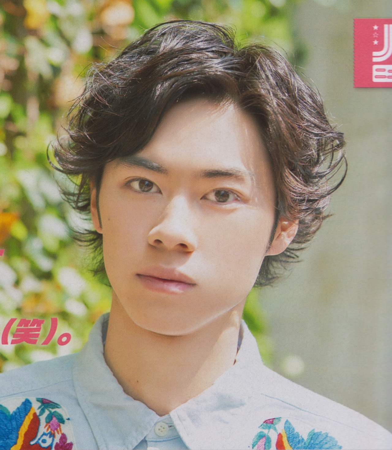 actor Junki Tozuka large photo