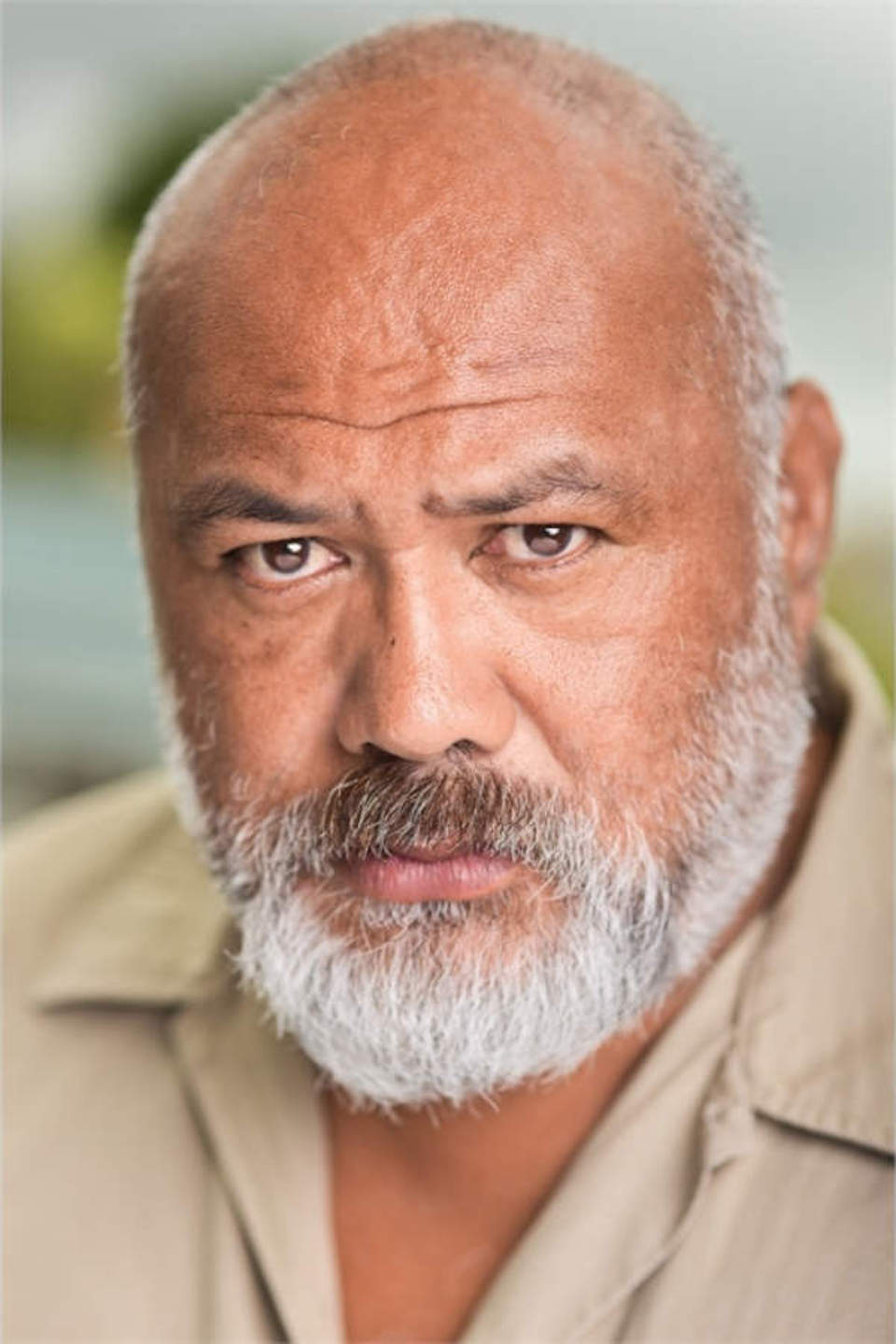 actor David Fane large photo actor David Fane large photo