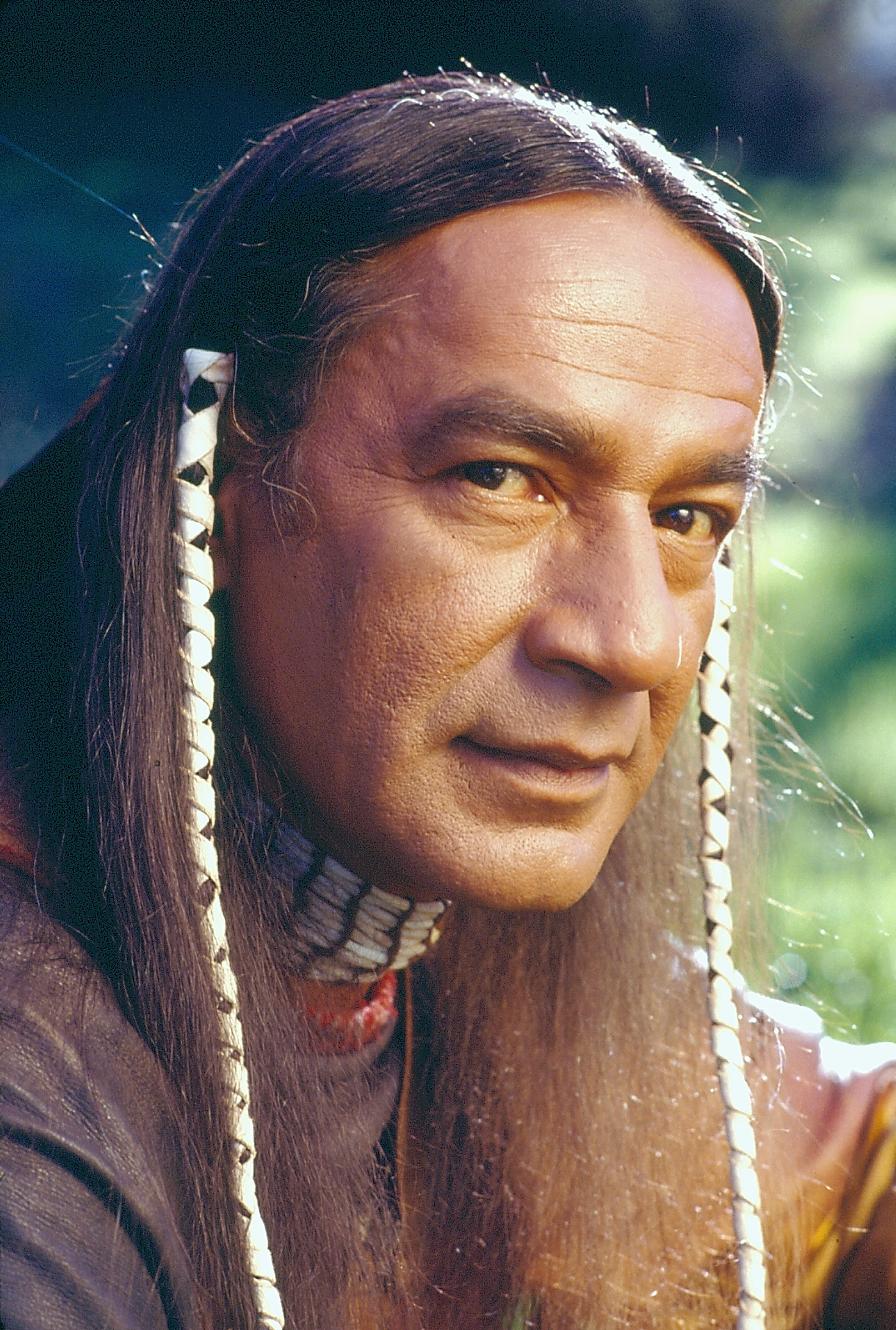 actor Larry Sellers large photo