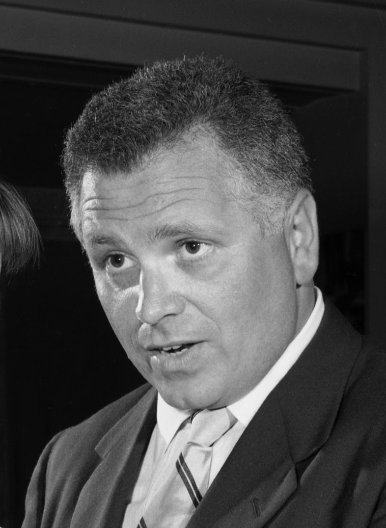 actor Bert Freed large photo