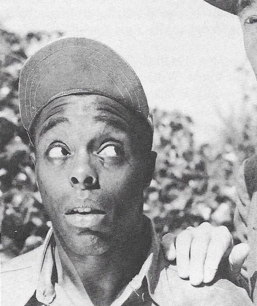 actor Ernest Morrison large photo