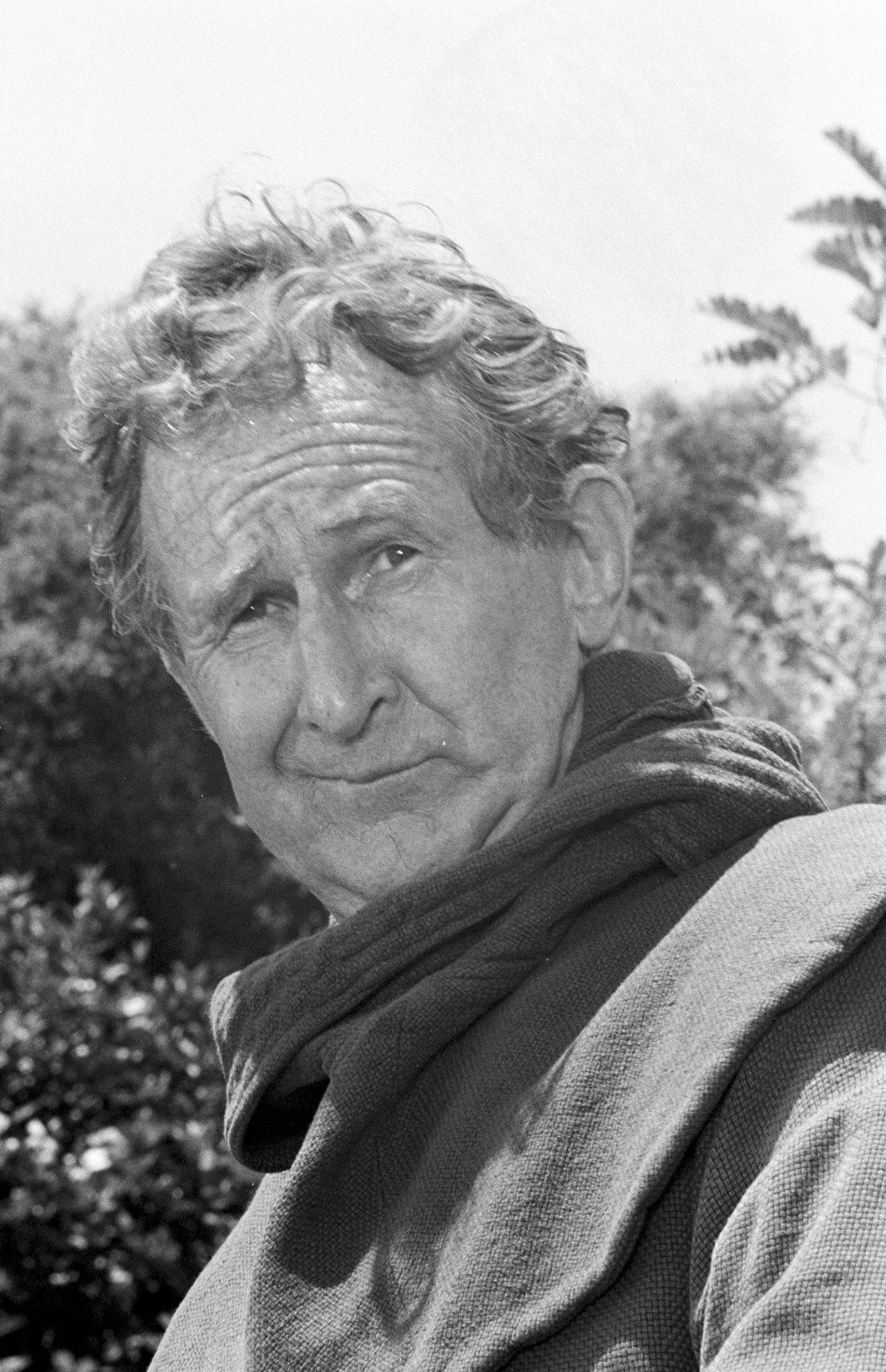 actor Doodles Weaver large photo