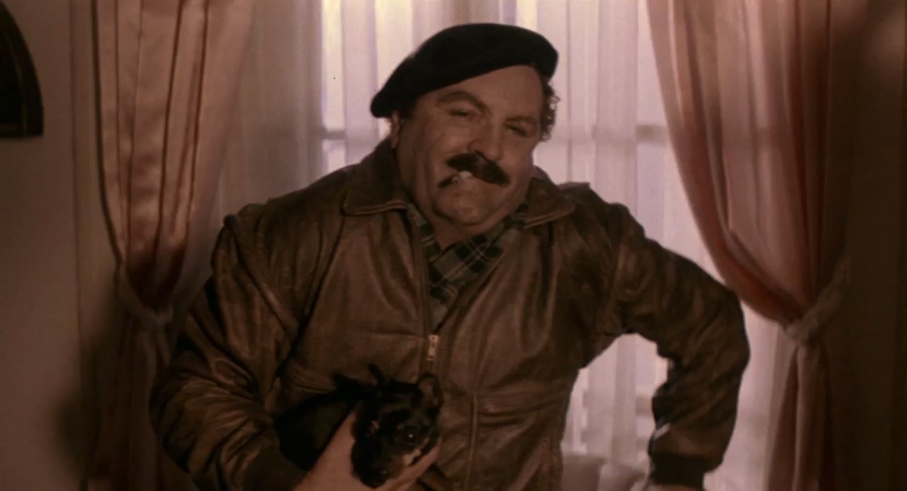 actor Antônio Petrin large photo